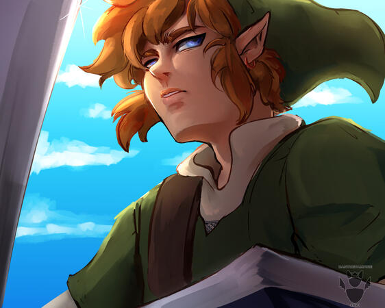 Skyward Sword Link