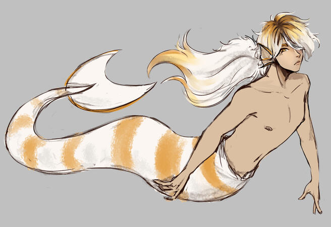 Lusca (oc)